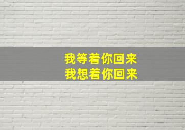 我等着你回来 我想着你回来